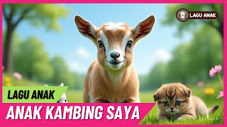  Lagu Caca Marica Hey Hey  Lagu Anak Kambing Saya Indonesia  Lagu Anak Populer