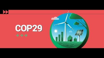 COP29