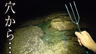 【深夜の怪】穴の中にいた“アイツ”を乱獲…これ一匹で数千円の高級食材です。（桜祭りも行ったよ）