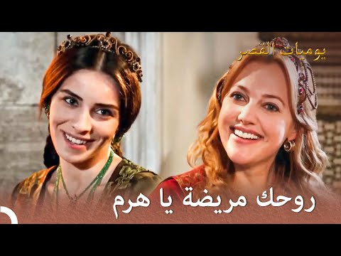 مشادات ماهفيدوران وهرم على المائدة هرم VS ماهفيدوران 53 يوميات القصر 