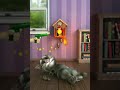 Talking Tom Cat 2 Unused Animation 