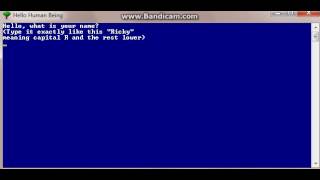 Hello to you, a batch file