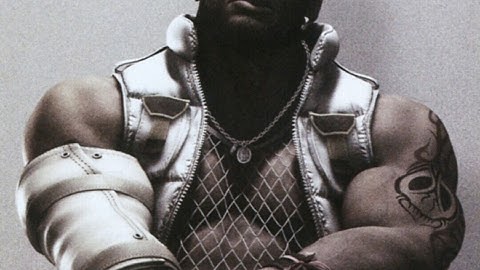 The Division Dark Zone D3 FNC build