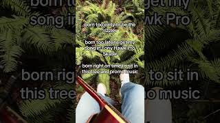 rizzler, Tony hawk pro skater, and this tree take your pick