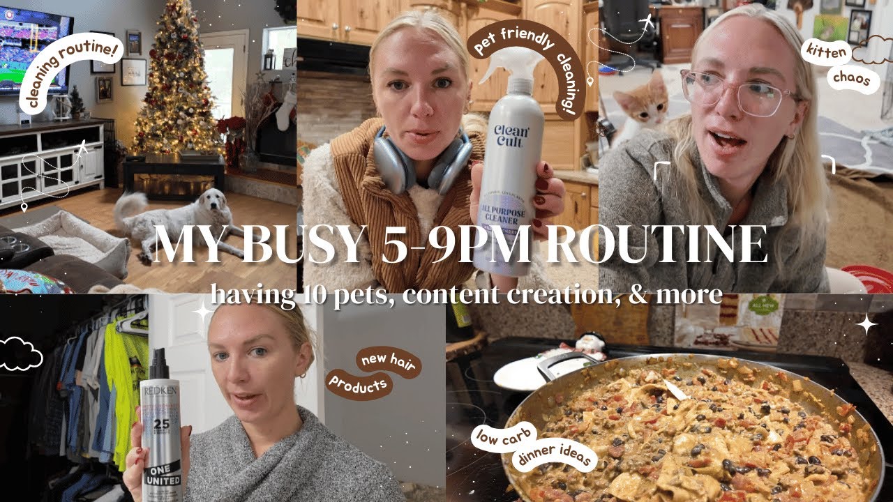 My Insanely Busy 5pm to 9pm Routine with 10 Pets 🧼🐶 | VLOGMAS DAY 16 ...
