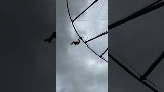 Toro Roller Toro Verde Pr