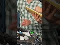 The moment your expensive torque wrench decides to quit on you! 🤯 See the surprising next move.