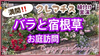 《個人庭／バラと宿根草のオシャレなお庭》よく育つ土の配合を伝授して頂きました～クレマチスの植え付け＞満開のバラのお庭をご紹介／おぎはら植物園さん購入苗