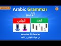 The Noun in Arabic: Gender &amp; Number (Lesson 3) | الاسم من حيثُ الجنس والعدد