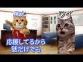 【過去暴露】バイトに人生狂わされてしまいました #猫マニ #猫ミーム