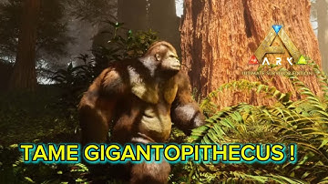  Gigantopithecus tame | The is land | Ark ultimate mobile edition | Episode 026