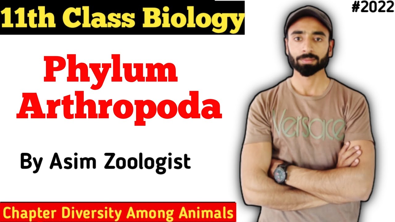 Phylum Arthropoda | characteristics | Examples | Diagram | Diversity ...