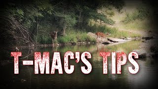 T Macs Tips Summer Drought Effects Fall Acorns