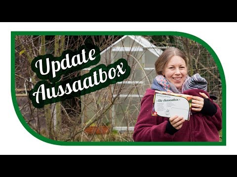 Aussaatbox Update 🌱