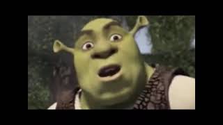 Shrek Hello There 17