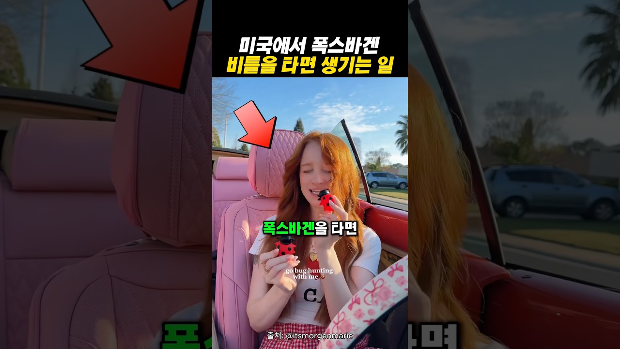미국에서 폭스바겐을 타면 생기는 일
