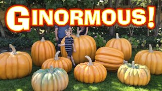 We made Huge Foam Pumpkins! DIY Halloween Props