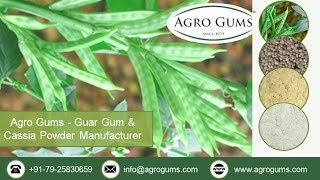 How Guar Gum is Processed and Produced? - www.agrogums.com