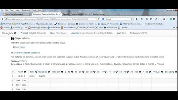 Point Count Data Entry using protocol with Distance Bins