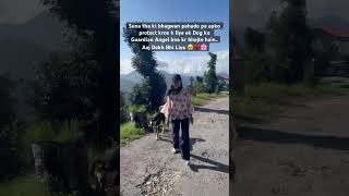 This Dog Was Unknown Yet So Friendly And Sooo Cute. A New Companion That I Found In