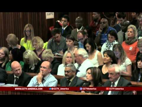 Combative Prosecutor Makes Mark in Pistorius Trial