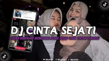 DJ LEMBAH YANG BERWARNA, CINTA SEJATI SOUND NABIH IKO MENGKANE JEDAG JEDUG VIRAL TIKTOK TERBARU 2023