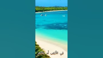 سورة الرعد وكا.نك. تسمعها لأول مرة ♥️.🌻.🌹🍃.💐بصوت الشيخ حمزة مد.بو.ح 🌺.🌸🌻🥀.💐