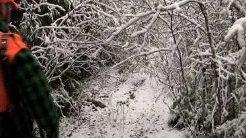 Deer Hunting with the Benoits II