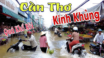 Quá Đáng Sợ TP Cần Thơ Chìm Trong Biển Nước Mùa Nước Nổi Chợ Bình Thủy Ngập Lụt | Nét Đẹp Miền Tây