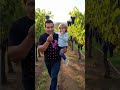 paseando por un viñedo con mi Ángel