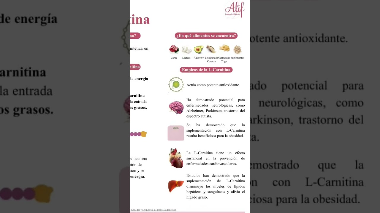 que l carnitina comprar L-CARNITINA 60 CAPSULAS que l carnitina comprar L-CARNITINA 60 CAPSULAS