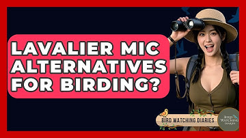 Lavalier Mic Alternatives For Birding? - Bird Watching Diaries