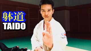 挑戦!映画のような躰道バトル!【TAIDO】CINEMATIC FIGHT