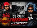 Ice Cube Freedumb First Time Reaction 