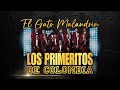 El Gato Malandrín (EN VIVO) - Los Primeritos De Colombia - TEMA NUEVO!!