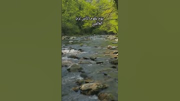 سورة المطففين بصوت الشيخ أحمد العجمي الجزء الاول #فلسطين_عاصمة القدس