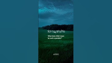 راحة قلبك تبدأ من هنا… استمع لآيات من كلام الله، واملأ يومك بنور القرآن. #قرآن #تدبر #طمأنينة