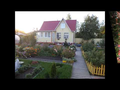 Моя дача Красивый проект, интересный ландшафтный дизайн(My cottage a beautiful project)