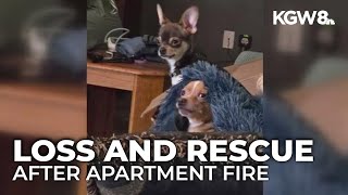 Apartment fire in Estacada displaces renters; pets lost and one dog rescued