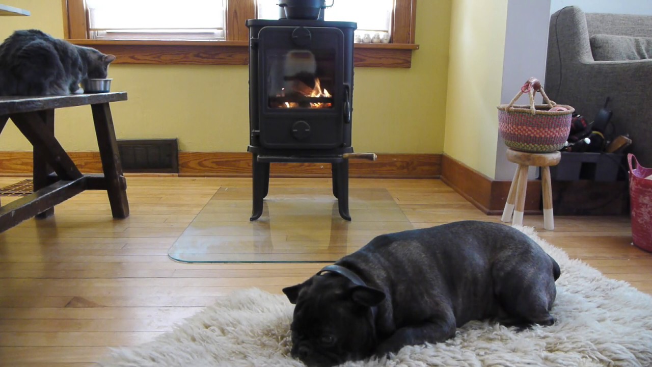 Cozy Afternoon at the Wood Stove #slowtv - YouTube