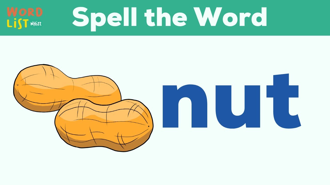 nut - YouTube