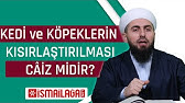 Evde Kedi Beslemek Caiz Midir Kedi Artigi Necis Midir Fatih Kalender Hocaefendi Youtube