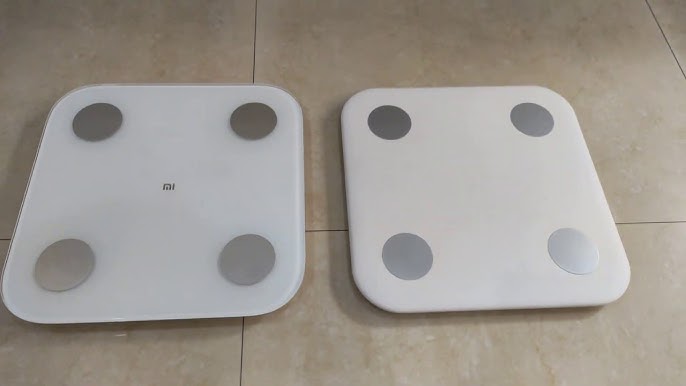 Mi Body Composition Scale 2 Review: Look Beyond the Numbers with this Smart  Scale – Mark x Abi