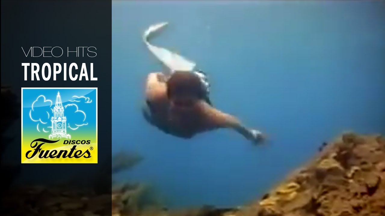 Luis Felipe Gonzalez - La Sirena (Video Oficial) | Discos Fuentes accords