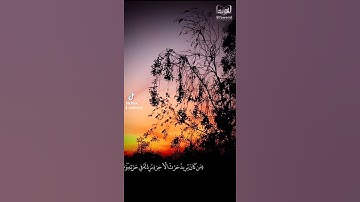 تلاوة رائعة .. القارئ عبدالله موسى