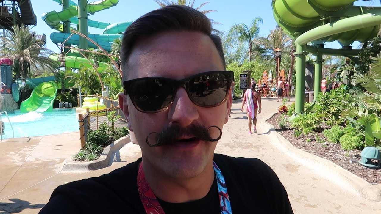 puppy paradise A Cool Day At Volcano Bay | Water Park Updates, Weather & Crowd Levels