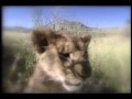 The making of the lion king laser disc 14  subtitles