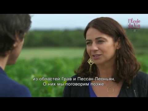 Особенности территорий Медок и Грав - Азбука вин Бордо (выпуск 15)