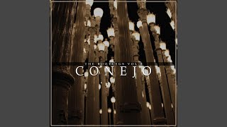 Watch Conejo Tell It Like It Is video