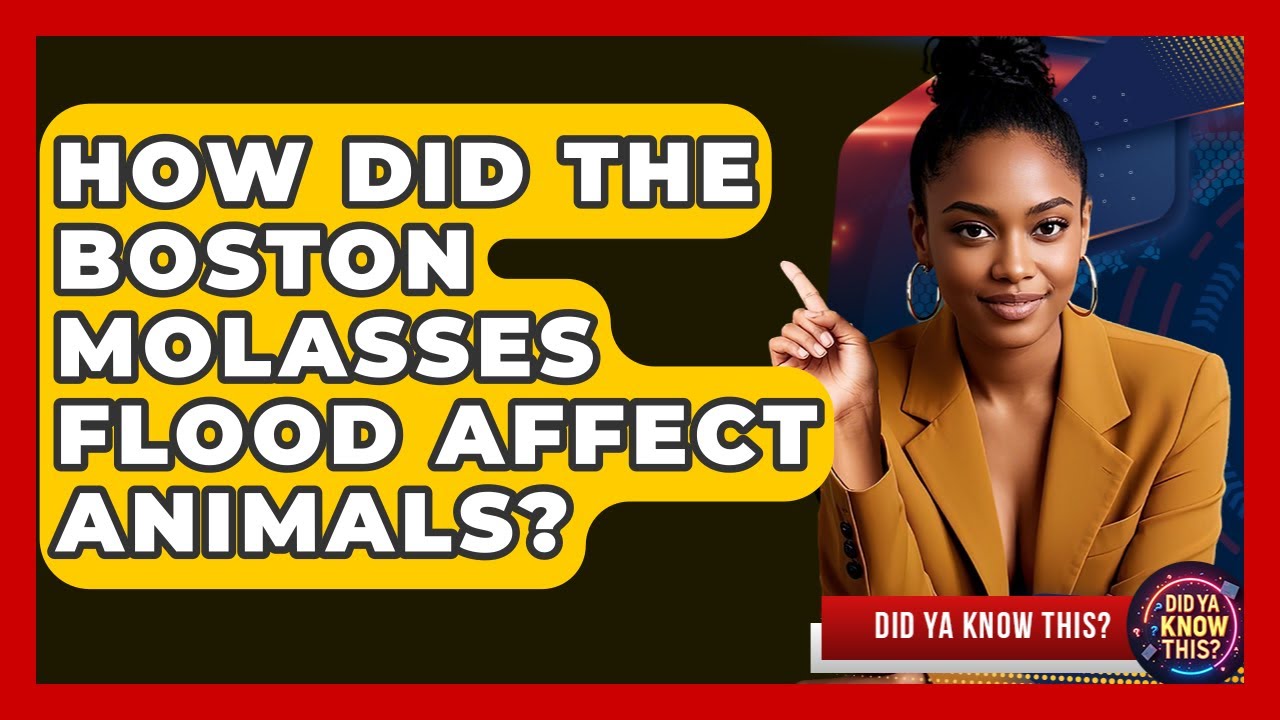 How Did The Boston Molasses Flood Affect Animals? - Did Ya Know This